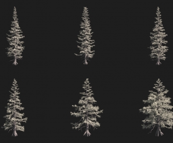 Modern Tree-ID:696835993