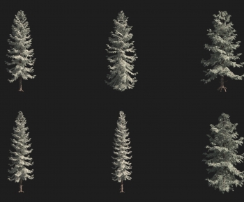 Modern Tree-ID:707576044