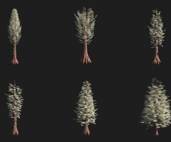 Modern Tree-ID:581691989