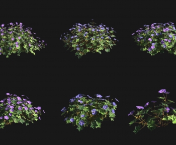 Modern Shrubbery-ID:431422001