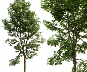 Modern Tree/shrub/grass-ID:163403033