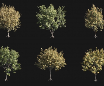 Modern Tree-ID:850188026