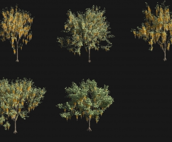 现代金链花灌木花树组合-ID:910777095