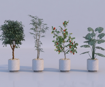 Modern Ground Green Plant Potted Plants-ID:193362002