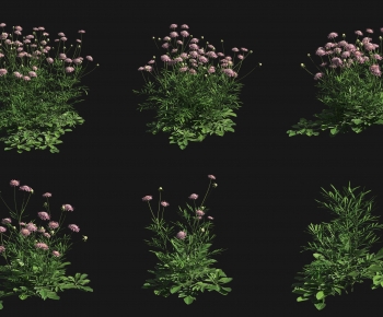 Modern Shrubbery-ID:323539973