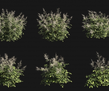 Modern Shrubbery-ID:463735108