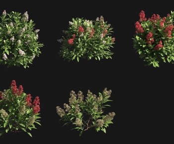 Modern Shrubbery-ID:141661881