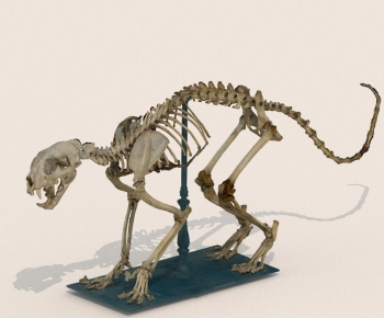 Modern Decorative Set-ID:955014946