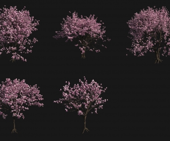 Modern Tree-ID:343230018