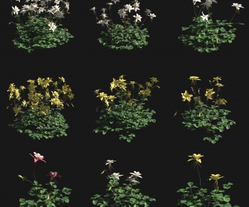 Modern Shrubbery-ID:423552994