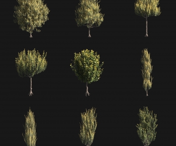 Modern Tree-ID:216065882