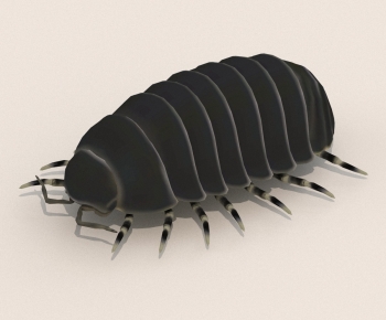 Modern Other Animals-ID:269193893