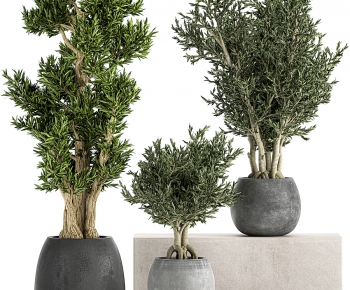 Modern Ground Green Plant Potted Plants-ID:676850087