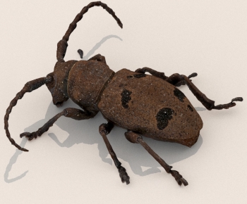 Modern Other Animals-ID:137423045