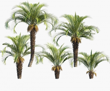 Modern Tree-ID:256109005
