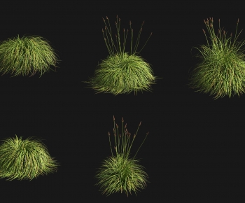 Modern The Grass-ID:601016042