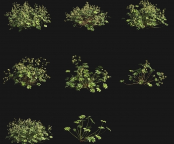 Modern Shrubbery-ID:553781992