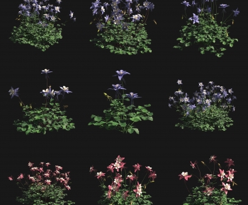 Modern Shrubbery-ID:503952038