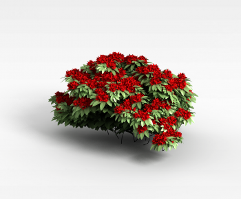 Modern Flowers And Grass-ID:721802002