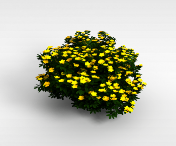 Modern Flowers And Grass-ID:240391977