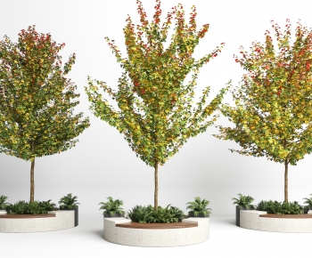 Modern Tree Pool-ID:315582045