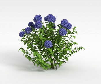 Modern Flowers And Grass-ID:384464032