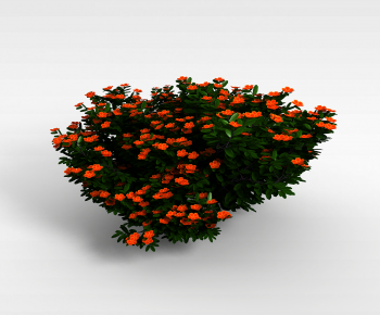 Modern Flowers And Grass-ID:218530897