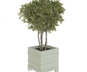 Modern Ground Green Plant Potted Plants-ID:200869081