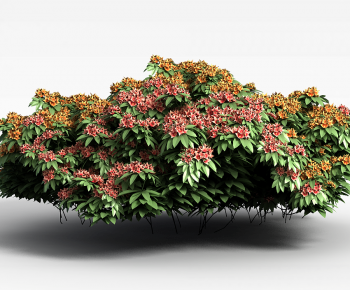 Modern Flowers And Grass-ID:203212983