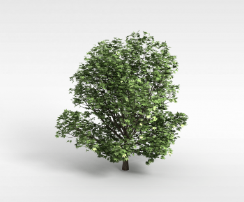 Modern Tree-ID:879477982