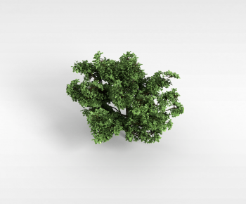 Modern Tree-ID:721353055