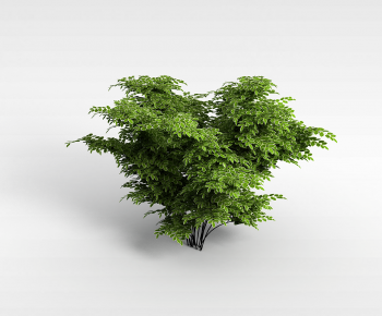 Modern Tree-ID:119230717
