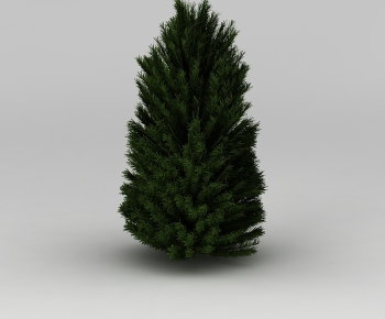 Modern Tree-ID:279948007