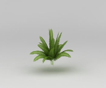 Modern Plant-ID:692497971