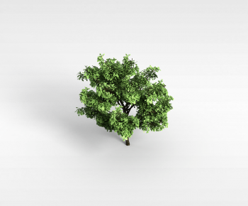 Modern Tree-ID:144081191