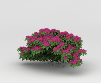 Modern Flowers And Grass-ID:173249012