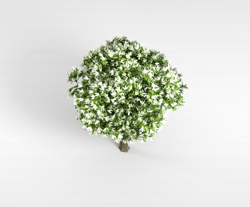 Modern Tree-ID:530347115