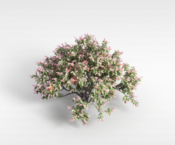 Modern Tree-ID:429996019