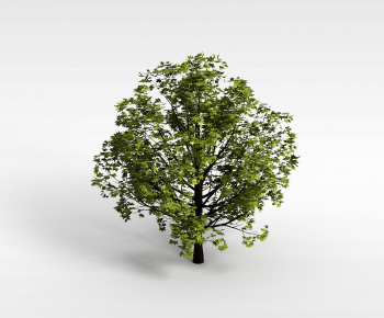 Modern Tree-ID:216731078