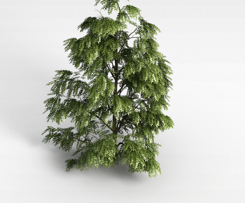 Modern Tree-ID:764029037