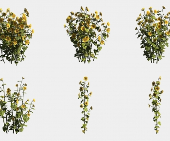 Modern Flowers And Grass-ID:122279889