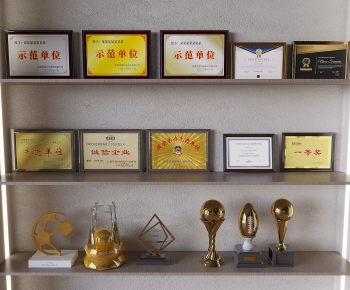 Modern Flag/badge/trophy/certificate-ID:479379892