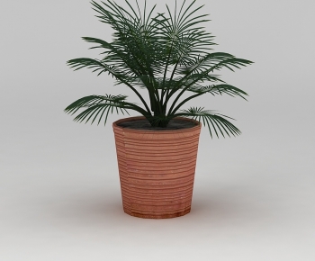 Modern Potted Green Plant-ID:554944048
