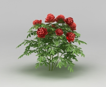 Modern Flowers And Grass-ID:809138068