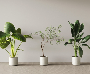 现代落地绿植盆栽组合-ID:794433126