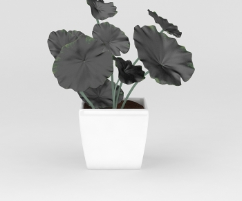 Modern Potted Green Plant-ID:630690105
