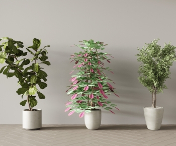 Modern Ground Green Plant Potted Plants-ID:489799989