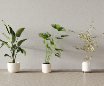 Modern Ground Green Plant Potted Plants-ID:697465907