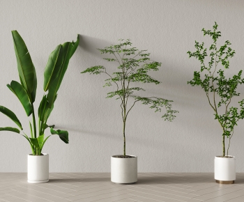 Modern Ground Green Plant Potted Plants-ID:393681054