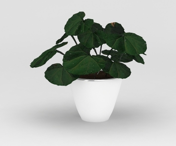 Modern Potted Green Plant-ID:874233014